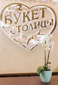 Правильный уход за орхидеей