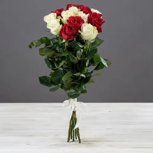 Букет из 15 красно-белых эквадорских роз