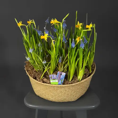 Композиция "Весенний вальс"