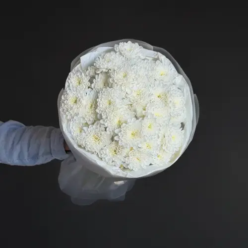 Букет из 9 махровых хризантем