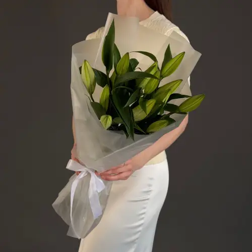 Букет из 3 лилий в упаковке