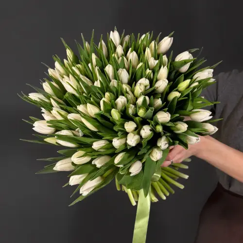 Букет из 101 белого тюльпана