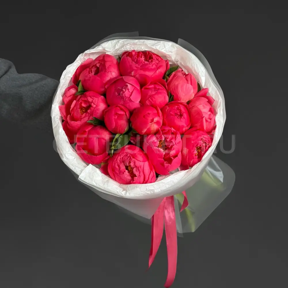 237709 Букет из 15 ярко-коралловых пионов