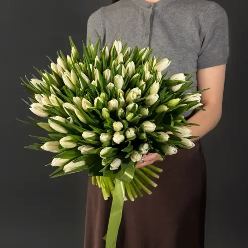 Букет из 101 белого тюльпана