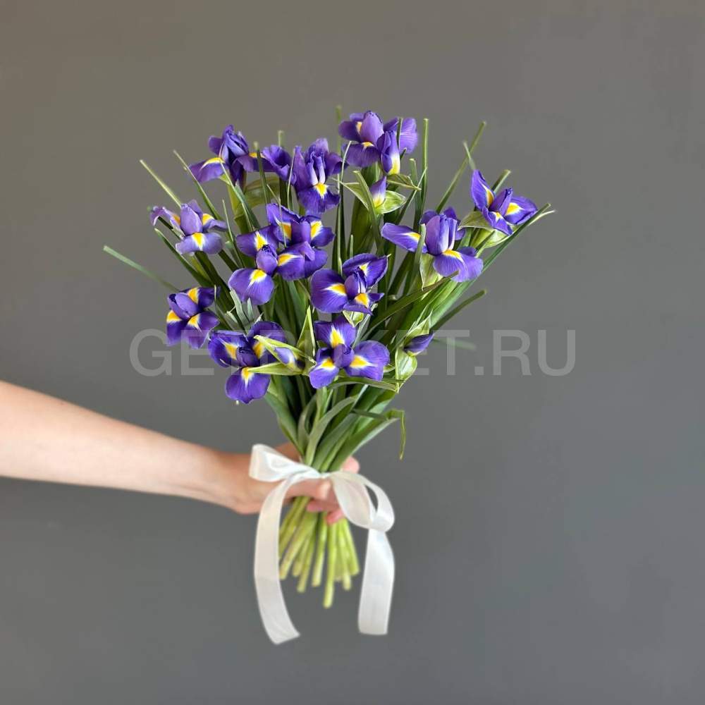 246952 Букет из 15 ирисов 
