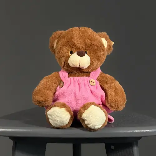 Мишка Топотыж