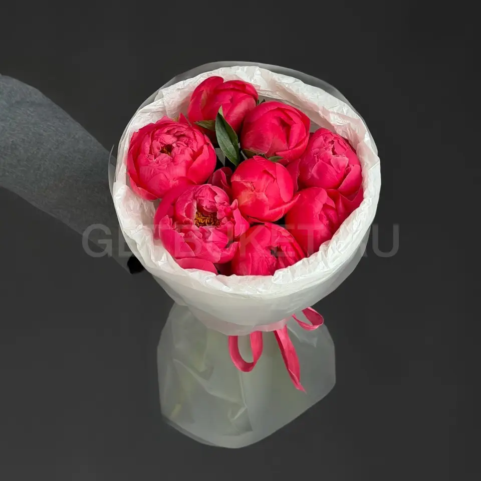 237706 Букет из 9 ярко-коралловых пионов
