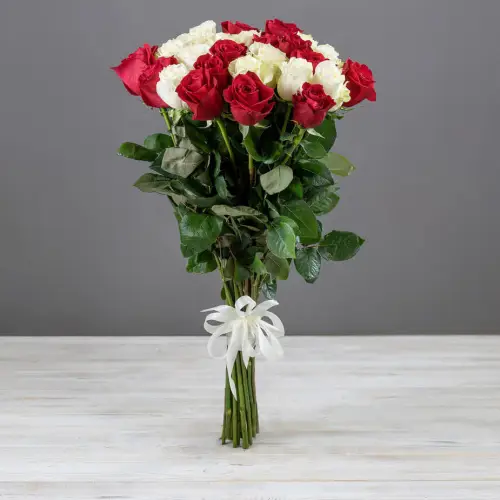 Букет из 25 красно-белых эквадорских роз
