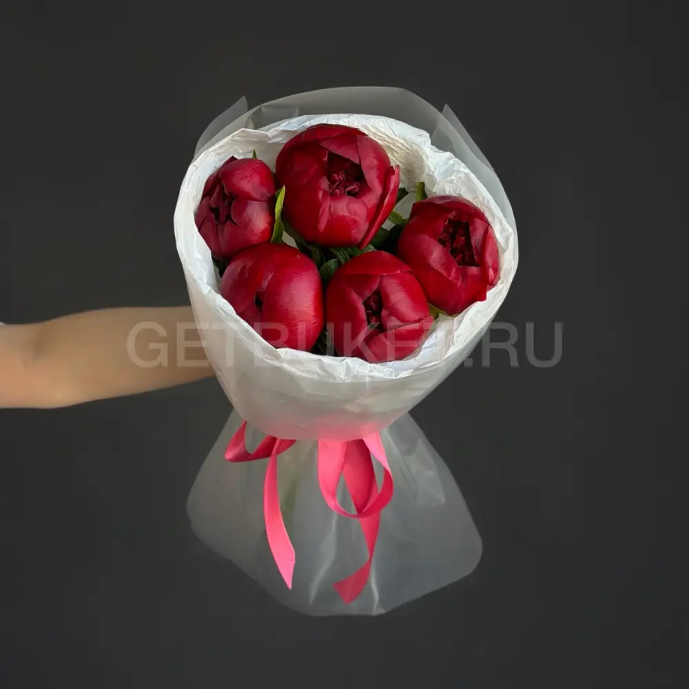 237730 Букет из 5 пионов бордо