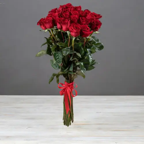 Букет из 25 красных эквадорских роз