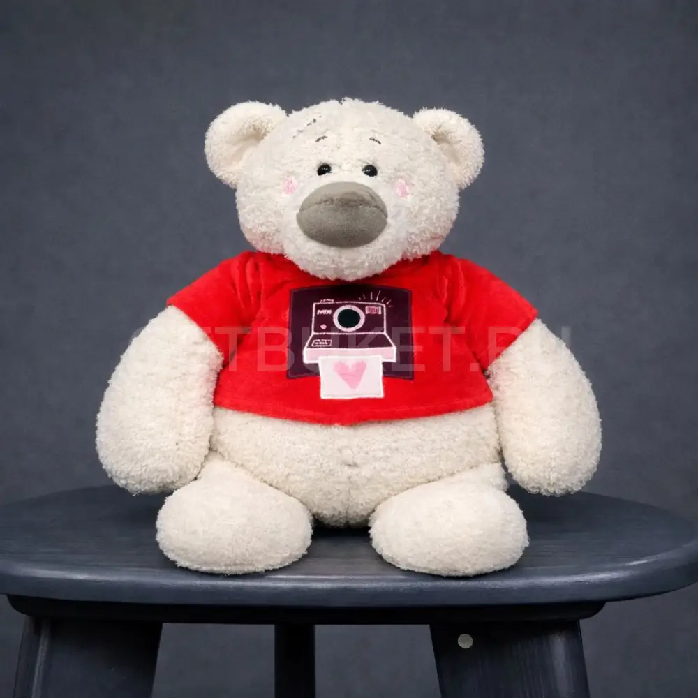 224359 Медведь Тато в бордовой майке