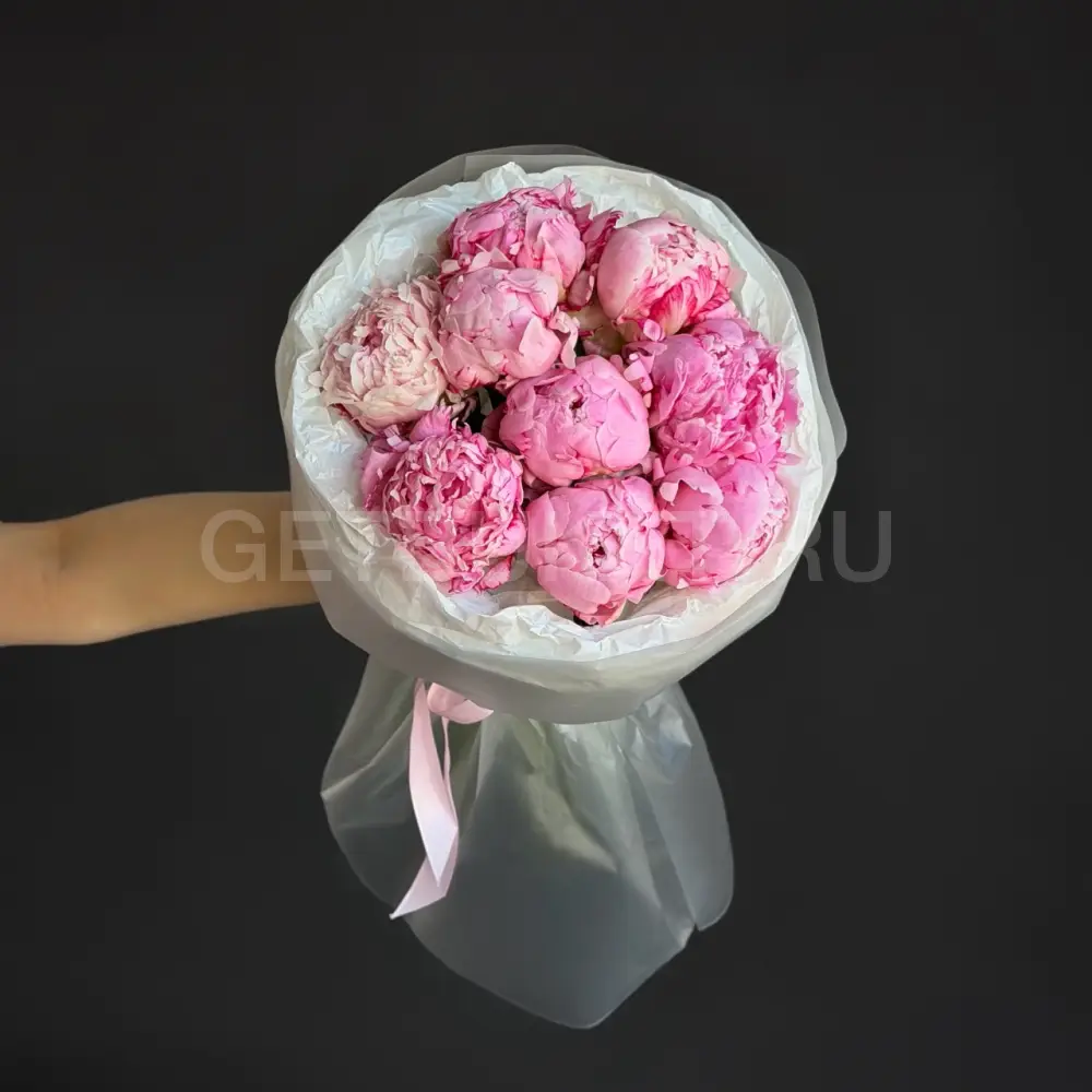 237717 Букет из 9 нежно-розовых пионов