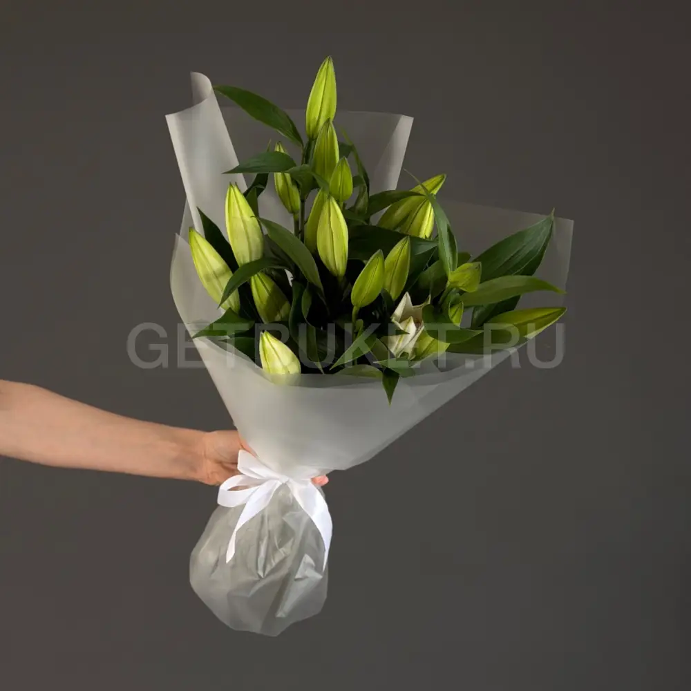 231609 Букет из 7 лилий в упаковке
