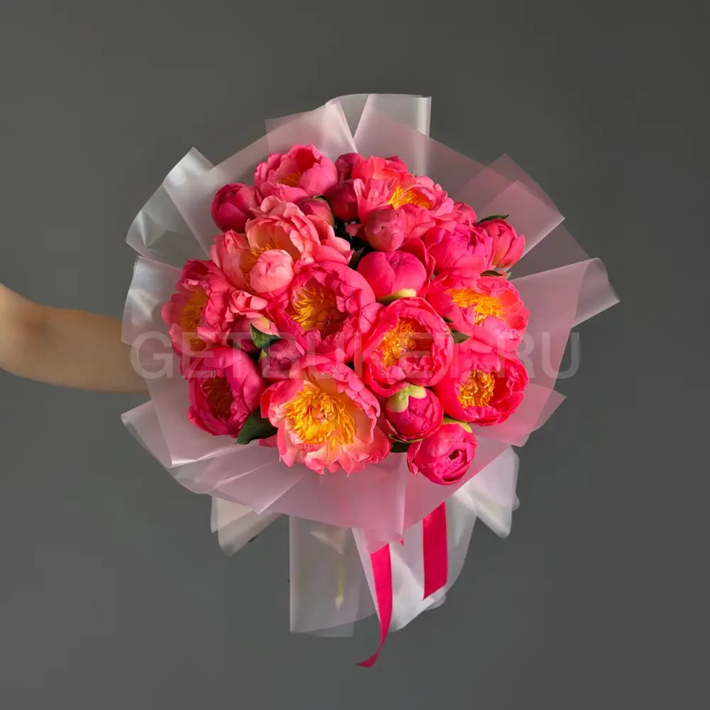 233952 Букет из 25 пионов 