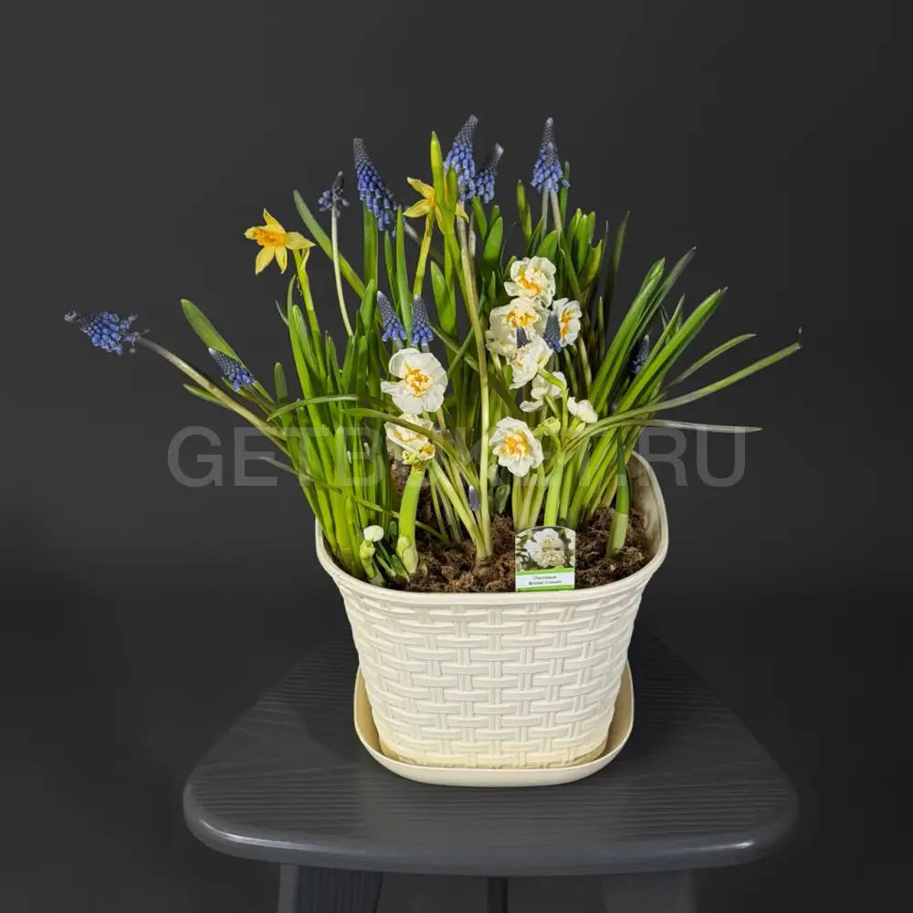 225619 Композиция "Утренняя роса"