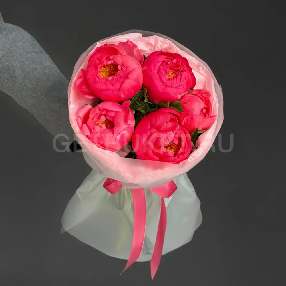237708 Букет из 5 ярко-коралловых пионов