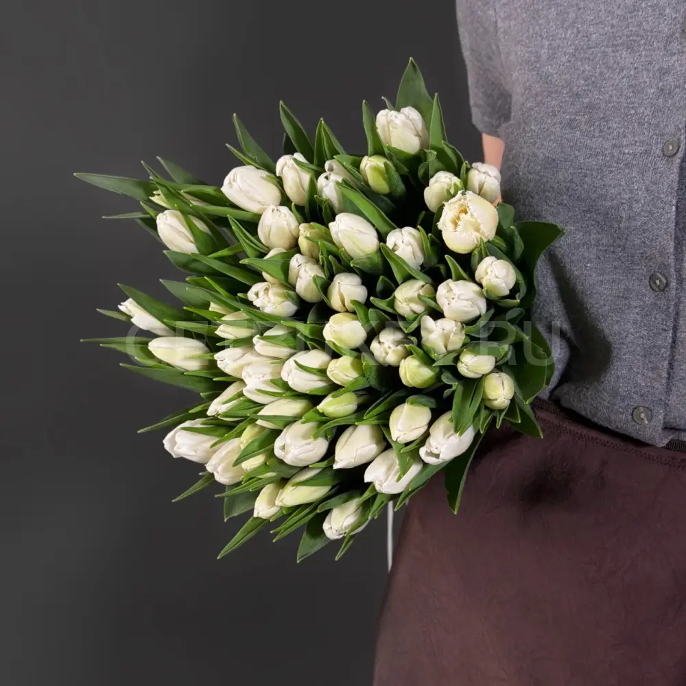 223660 Букет из 51 белого тюльпана