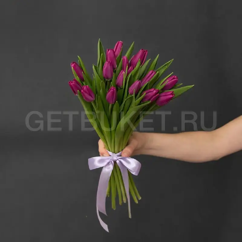 225387 Букет из 17 малиновых тюльпанов