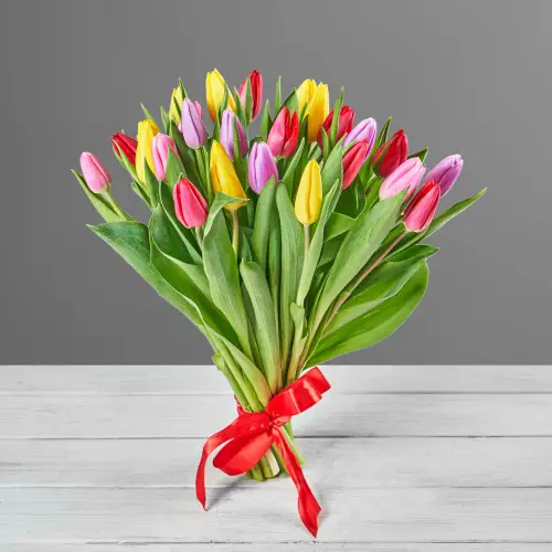 Букет из 25 ярко-цветных тюльпанов
